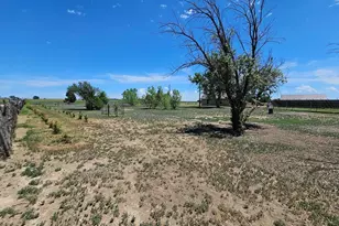 41061 Co Rd 35, Wiley, CO 81092 - Photo 50