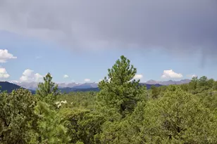 22750 Co Rd 46, Aguilar, CO 81020 - Photo 50