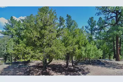 22750 County Rd 46, Aguilar, CO 81020 - Photo 52
