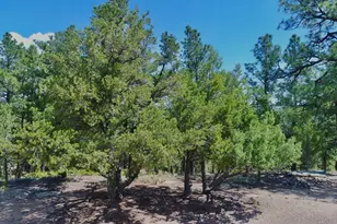 22750 Co Rd 46, Aguilar, CO 81020 - Photo 52