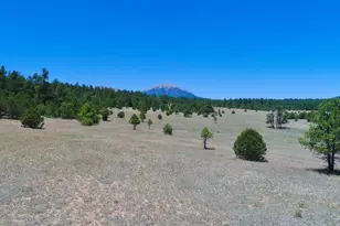 22750 Co Rd 46, Aguilar, CO 81020 - Photo 56