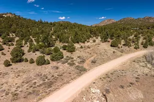 1811 Co Rd 260, Westcliffe, CO 81252 - Photo 28