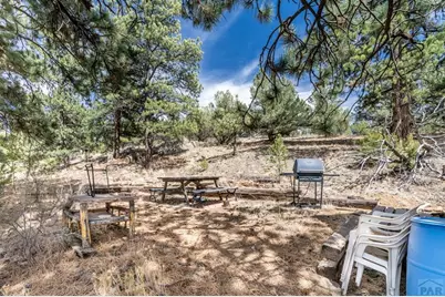1811 County Rd 260, Westcliffe, CO 81252 - Photo 12