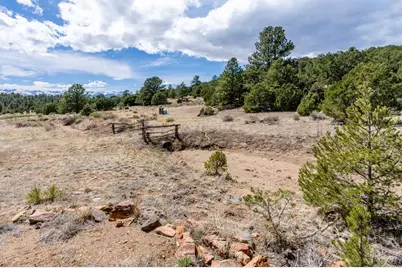 1811 County Rd 260, Westcliffe, CO 81252 - Photo 16