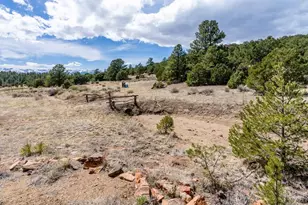 1811 Co Rd 260, Westcliffe, CO 81252 - Photo 16