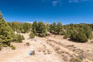 1811 Co Rd 260, Westcliffe, CO 81252 - Photo 24
