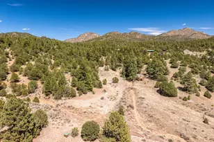 1811 Co Rd 260, Westcliffe, CO 81252 - Photo 20