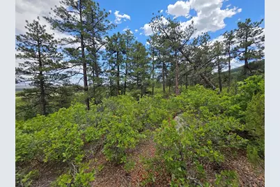 Tbd County Road 15, Florence, CO 81226 - Photo 22