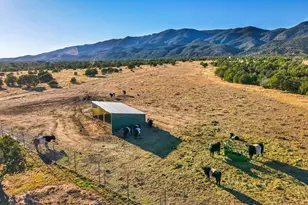 8200 Co Rd 132, Penrose, CO 81240 - Photo 36