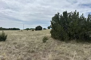 Lot 201 Royse St, Colorado City, CO 81019 - Photo 1