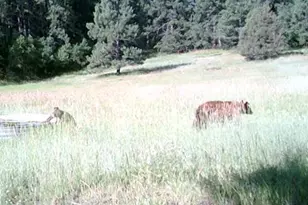 28111 County Rd 41 4, Aguilar, CO 81020 - Photo 72