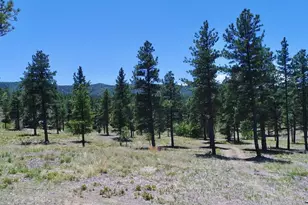 28111 County Rd 41 4, Aguilar, CO 81020 - Photo 56
