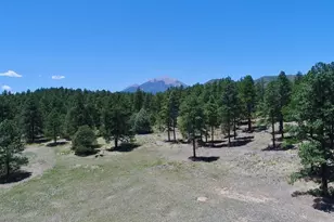 28111 County Rd 41 4, Aguilar, CO 81020 - Photo 46