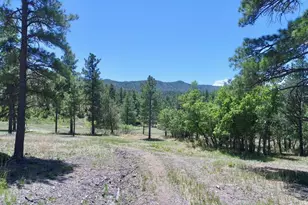 28111 County Rd 41 4, Aguilar, CO 81020 - Photo 44