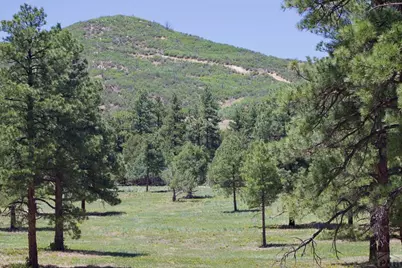 28111 County Rd 41.4, Aguilar, CO 81020 - Photo 52