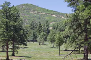 28111 County Rd 41 4, Aguilar, CO 81020 - Photo 52
