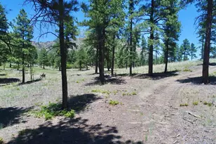28111 County Rd 41 4, Aguilar, CO 81020 - Photo 48