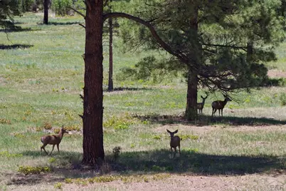 28111 County Rd 41.4, Aguilar, CO 81020 - Photo 58
