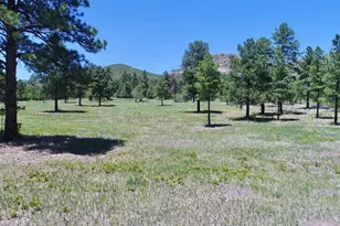 28111 County Rd 41 4, Aguilar, CO 81020 - Photo 50