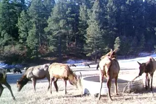 28111 County Rd 41 4, Aguilar, CO 81020 - Photo 70