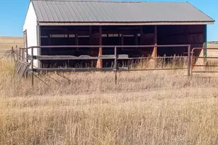 7787 State Hwy 78, Beulah, CO 81023 - Photo 2