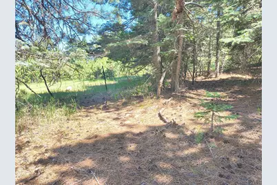 10940 Bartlett Trail, Rye, CO 81069 - Photo 12