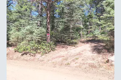 10940 Bartlett Trail, Rye, CO 81069 - Photo 6