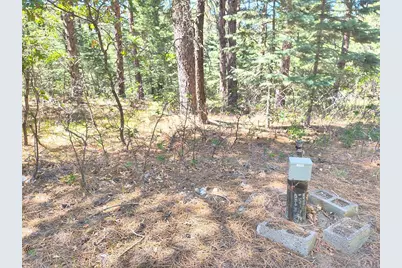 10940 Bartlett Trail, Rye, CO 81069 - Photo 10