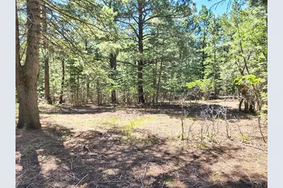 10940 Bartlett Trail, Rye, CO 81069 - Photo 14