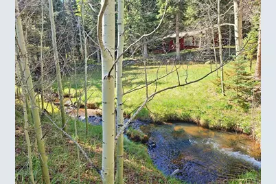 114 Silvercliffe, Rye, CO 81069 - Photo 2