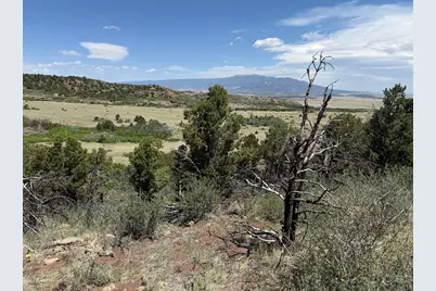 Tbd Bear Springs Rd, Walsenburg, CO 81089 - Photo 24