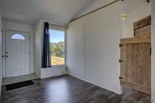 949 Coyote Cir, Coal Creek, CO 80122 - Photo 6