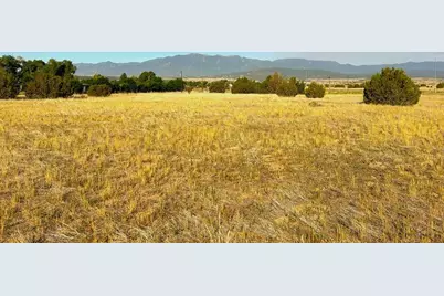 Lot 2 Abbey Rd, Colorado City, CO 81019 - Photo 10
