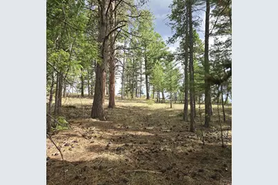 182 Wasatch Ln, Florissant, CO 80816 - Photo 2