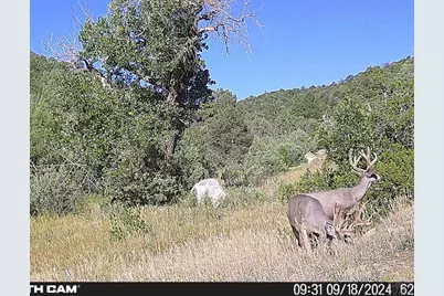 17001 Peacock Rd, Trinidad, CO 81082 - Photo 62