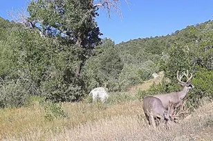 17001 Peacock Rd, Trinidad, CO 81082 - Photo 62