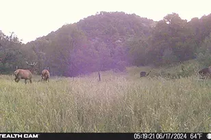 17001 Peacock Rd, Trinidad, CO 81082 - Photo 54