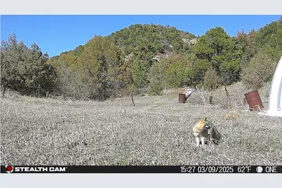 17001 Peacock Rd, Trinidad, CO 81082 - Photo 62