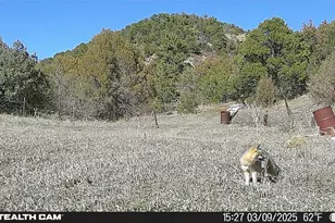 17001 Peacock Rd, Trinidad, CO 81082 - Photo 62