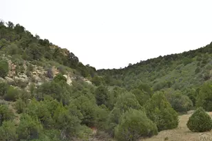 17001 Peacock Rd, Trinidad, CO 81082 - Photo 22