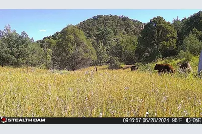 17001 Peacock Rd, Trinidad, CO 81082 - Photo 58