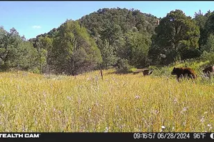 17001 Peacock Rd, Trinidad, CO 81082 - Photo 58