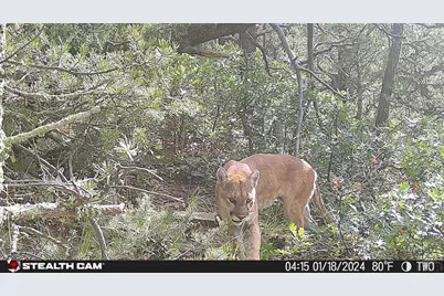 17001 Peacock Rd, Trinidad, CO 81082 - Photo 56