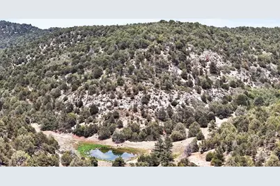 17001 Peacock Rd, Trinidad, CO 81082 - Photo 40
