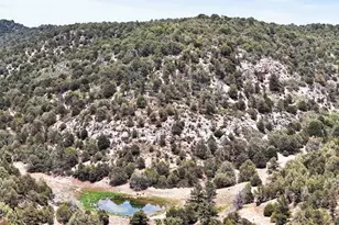 17001 Peacock Rd, Trinidad, CO 81082 - Photo 40