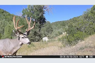 17001 Peacock Rd, Trinidad, CO 81082 - Photo 54