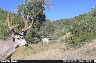 17001 Peacock Rd, Trinidad, CO 81082 - Photo 54