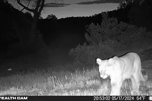17001 Peacock Rd, Trinidad, CO 81082 - Photo 56
