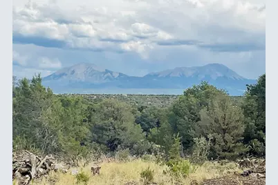 Lot 17 Navajo Ranch Resort, Walsenburg, CO 81089 - Photo 20