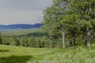 33233 Fox Trail, Trinidad, CO 81082 - Photo 46
